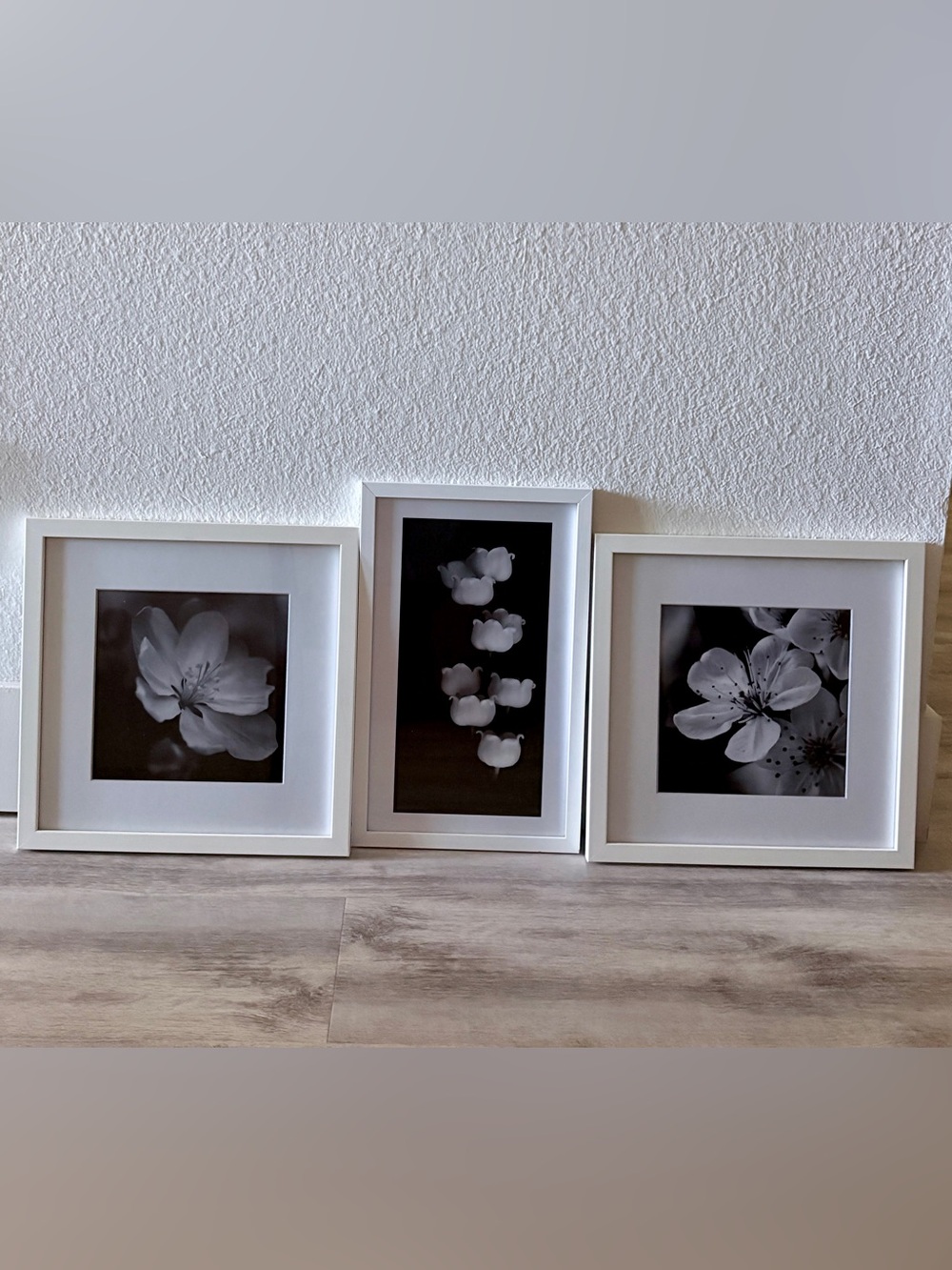 Framed Black & White Floral Wall Art Set - White Frames